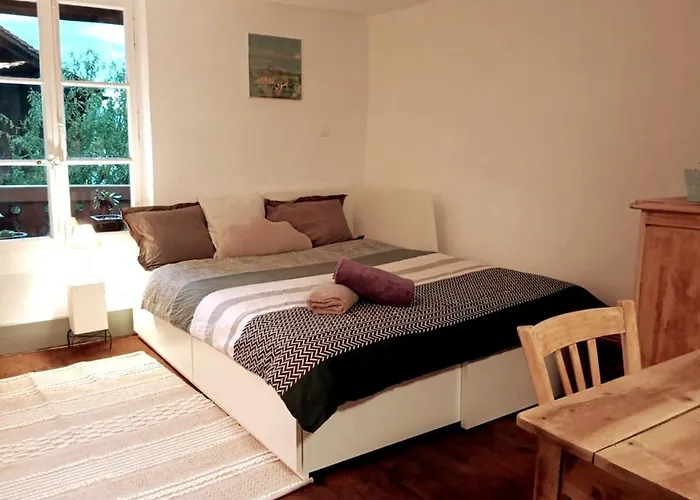 Le Reve De Rive Apartment Nyon