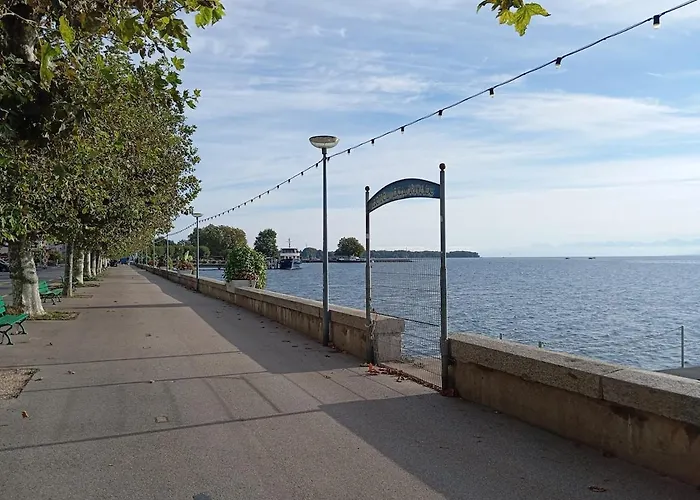 Le Reve De Rive * Nyon