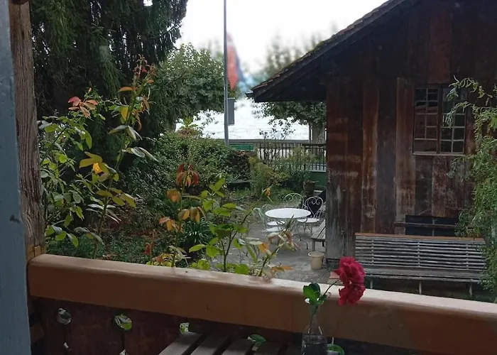 Le Reve De Rive * Nyon